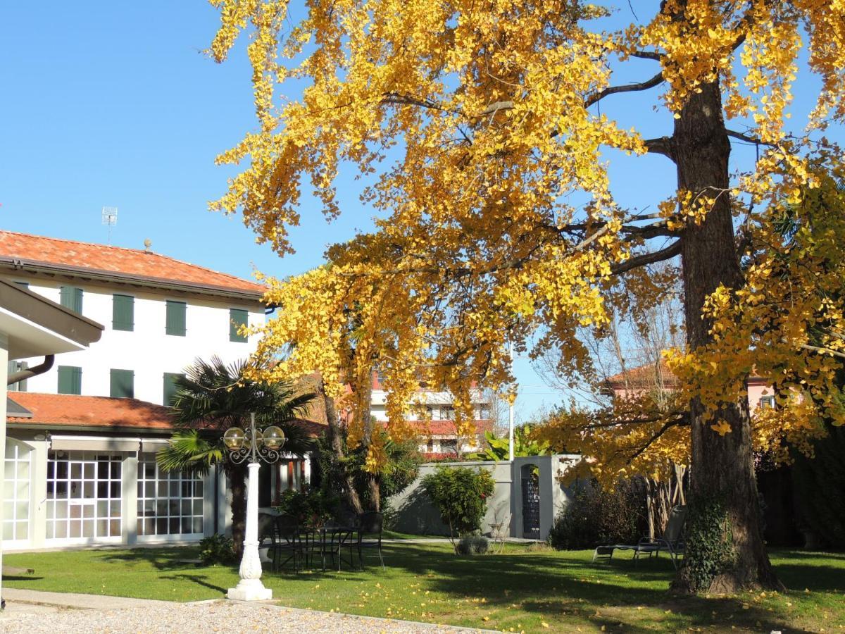 Ginkgo Guest House Ronchis Extérieur photo