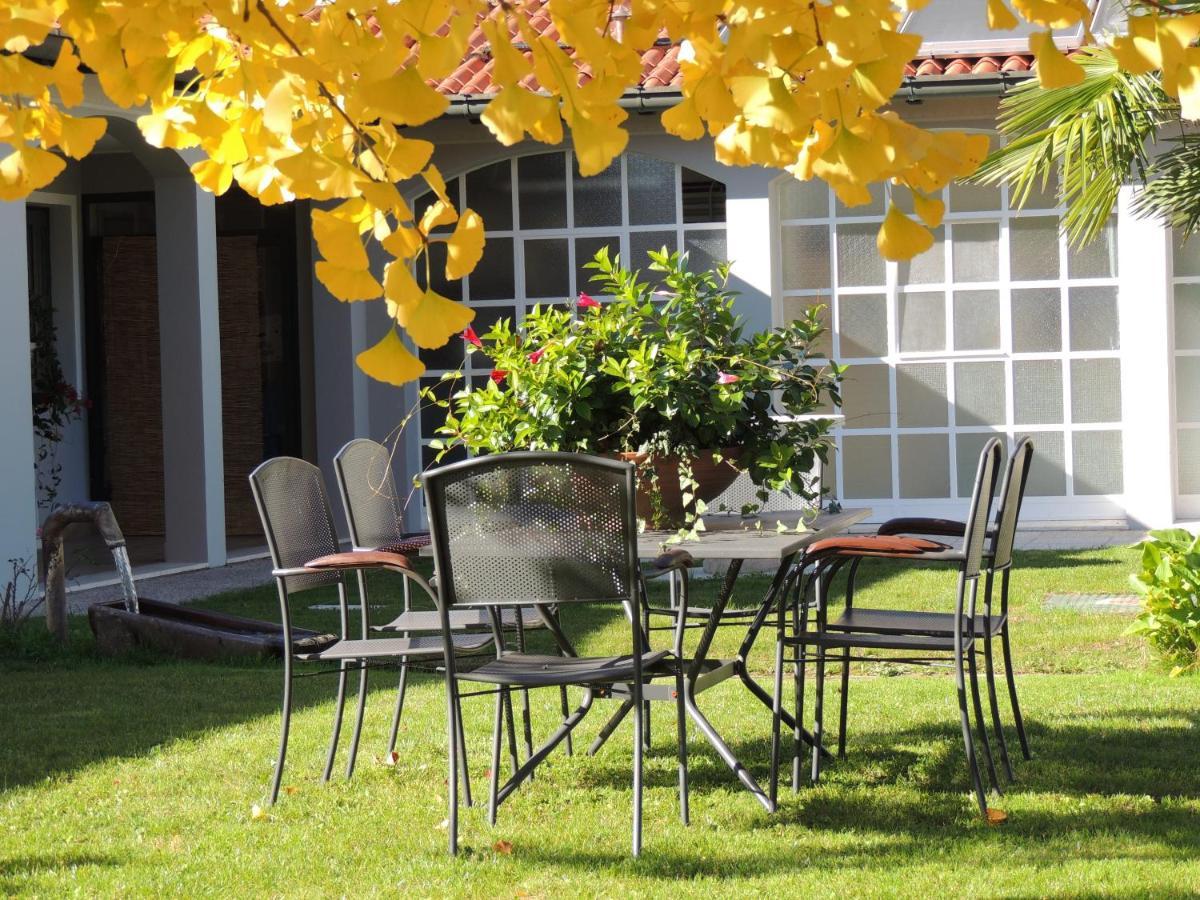 Ginkgo Guest House Ronchis Extérieur photo